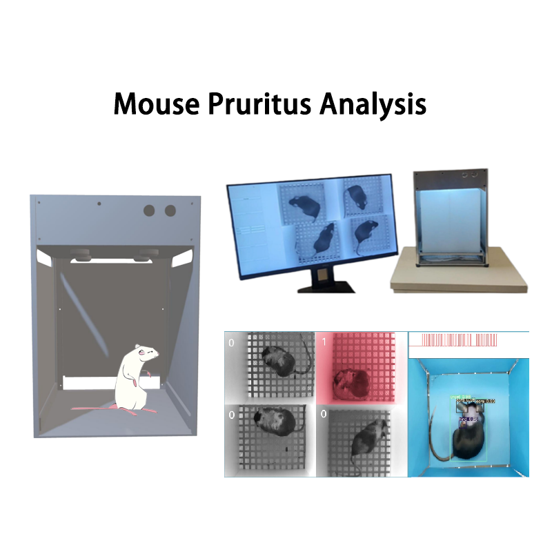 Système d'analyse du comportement du prurit animal