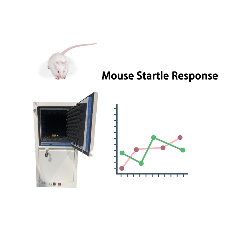Système de test de réponse au sursaut de souris