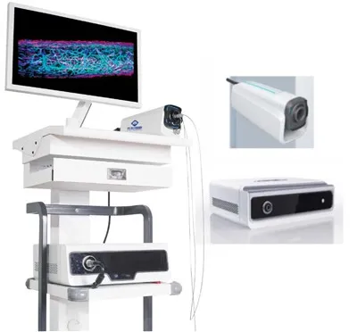 Système d'imagerie endoscopique multimodale